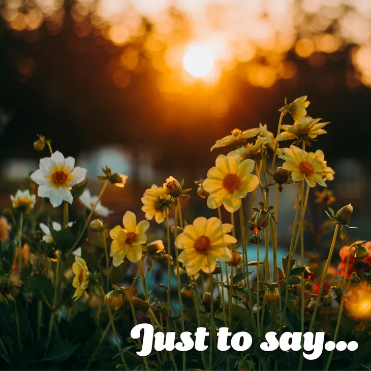Just to say eCard with yellow flowers and sunshine