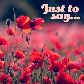 Just to say eCard with photograph of poppies