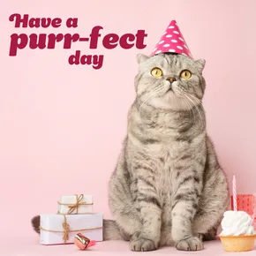 Have a purr-fect day eCard with cat in party hat