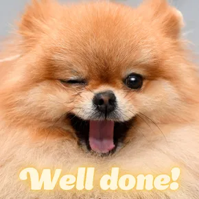 Well done eCard with winking dog