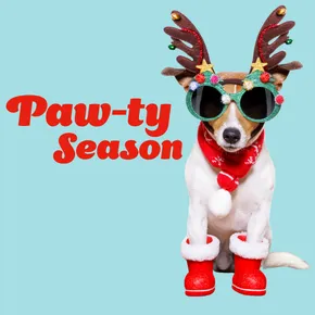Dog - Paw-ty Season