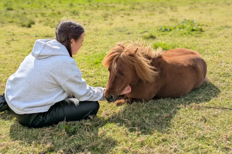 Emily with a horse at equine therapy