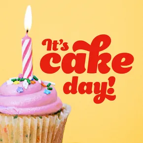 It's cake day with pink cupcake on yellow background