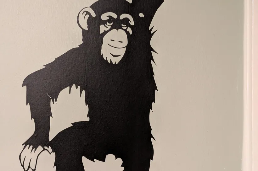 Monkey image from bedroom at Squirrels overnight breaks