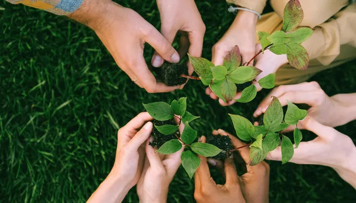 Nurturing growth plants