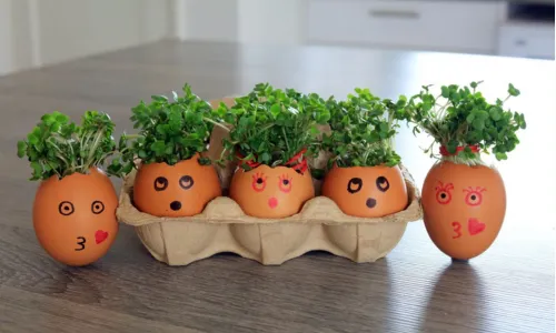 Growing challenge Hungry Caterpillar - Eggs
