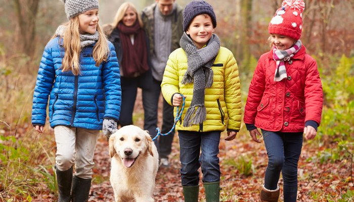 - Foster family with three children and two carers walking a dog in the woods, highlighting the benefits of fosterin