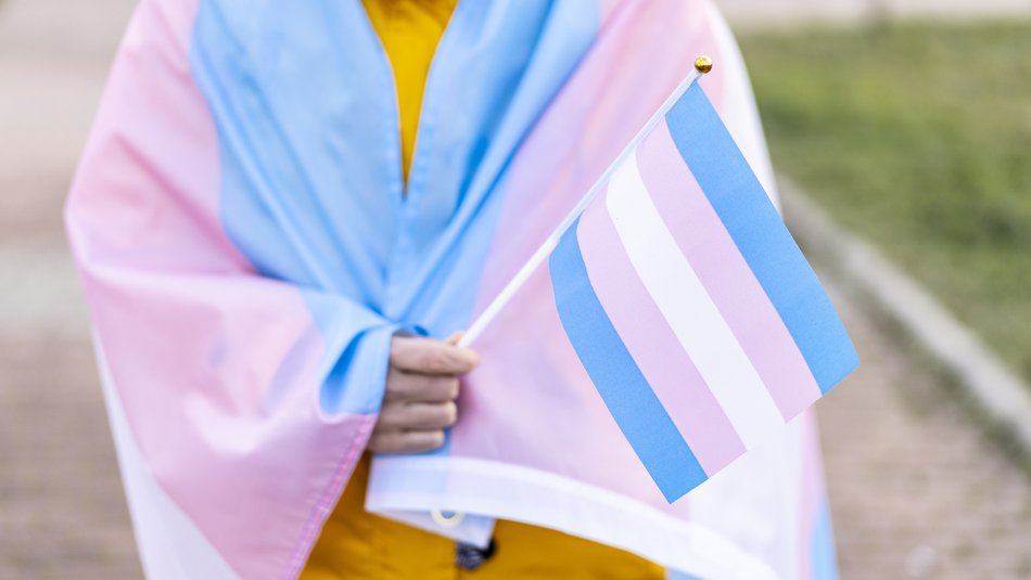 Woman covered with transgender flag.jpg