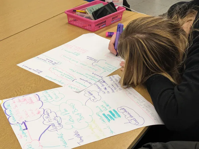 Young person writing a plan with bright coloured pens