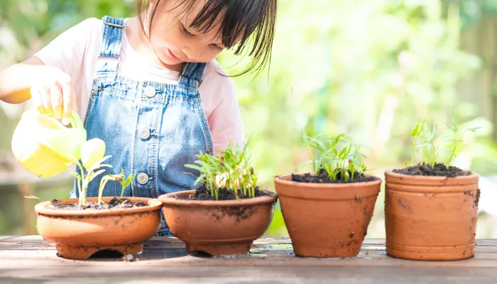 Young girl watering her sprouting plants outside