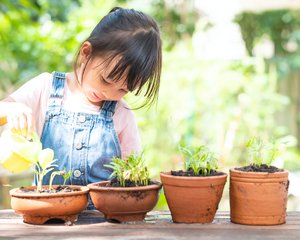 Young girl watering her sprouting plants outside