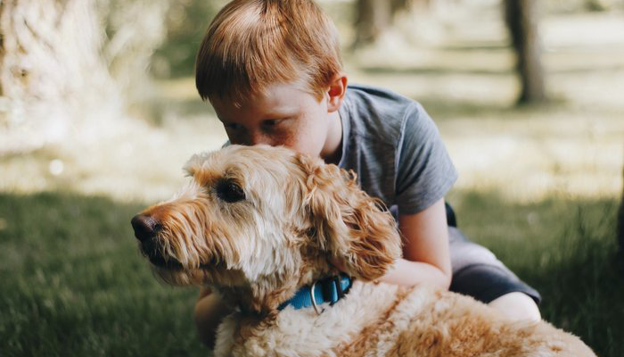 Boy Playing With Dog