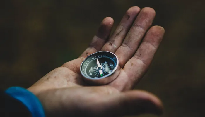 Compass1