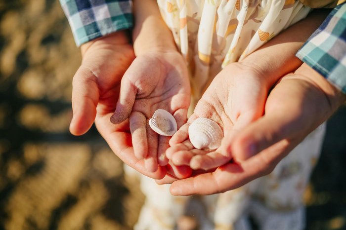 Hands Shell Holding